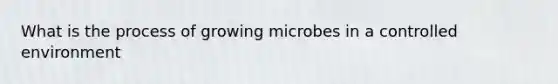 What is the process of growing microbes in a controlled environment