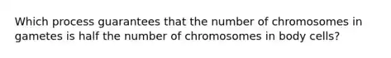 Which process guarantees that the number of chromosomes in gametes is half the number of chromosomes in body cells?