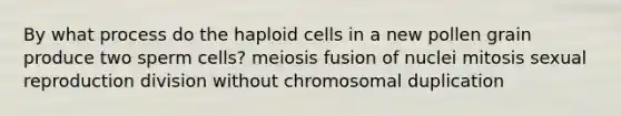 By what process do the haploid cells in a new pollen grain produce two sperm cells? meiosis fusion of nuclei mitosis sexual reproduction division without chromosomal duplication