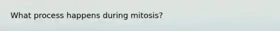 What process happens during mitosis?