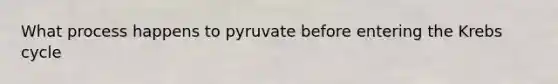 What process happens to pyruvate before entering the Krebs cycle