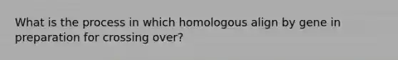 What is the process in which homologous align by gene in preparation for crossing over?