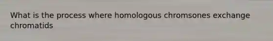 What is the process where homologous chromsones exchange chromatids