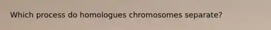 Which process do homologues chromosomes separate?