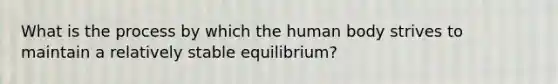 What is the process by which the human body strives to maintain a relatively stable equilibrium?