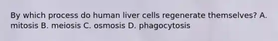 By which process do human liver cells regenerate themselves? A. mitosis B. meiosis C. osmosis D. phagocytosis