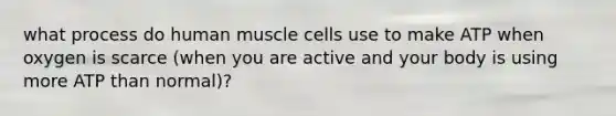 what process do human muscle cells use to make ATP when oxygen is scarce (when you are active and your body is using more ATP than normal)?