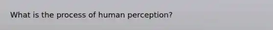 What is the process of human perception?