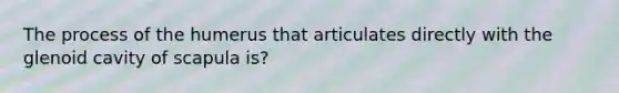 The process of the humerus that articulates directly with the glenoid cavity of scapula is?