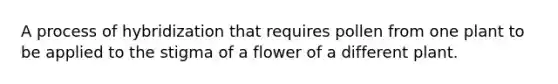 A process of hybridization that requires pollen from one plant to be applied to the stigma of a flower of a different plant.