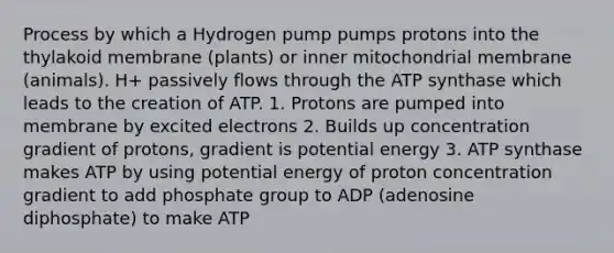 Process by which a Hydrogen pump pumps protons into the thylakoid membrane (plants) or inner mitochondrial membrane (animals). H+ passively flows through the ATP synthase which leads to the creation of ATP. 1. Protons are pumped into membrane by excited electrons 2. Builds up concentration gradient of protons, gradient is potential energy 3. ATP synthase makes ATP by using potential energy of proton concentration gradient to add phosphate group to ADP (adenosine diphosphate) to make ATP