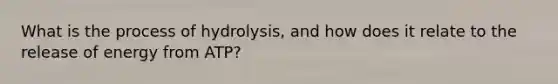 What is the process of hydrolysis, and how does it relate to the release of energy from ATP?