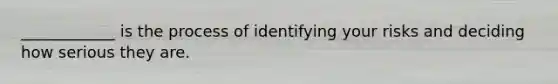 ____________ is the process of identifying your risks and deciding how serious they are.