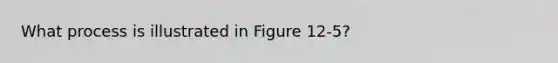 What process is illustrated in Figure 12-5?