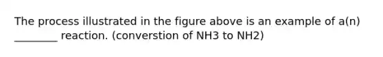 The process illustrated in the figure above is an example of a(n) ________ reaction. (converstion of NH3 to NH2)