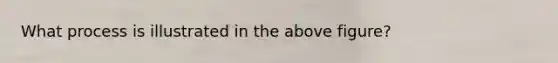 What process is illustrated in the above figure?