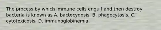 The process by which immune cells engulf and then destroy bacteria is known as A. bactocydosis. B. phagocytosis. C. cytotoxicosis. D. immunoglobinemia.