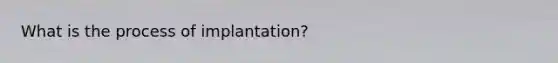 What is the process of implantation?