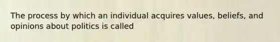 The process by which an individual acquires values, beliefs, and opinions about politics is called