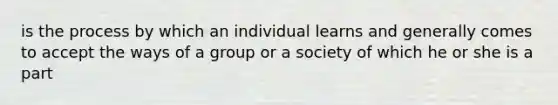 is the process by which an individual learns and generally comes to accept the ways of a group or a society of which he or she is a part