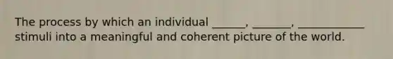 The process by which an individual ______, _______, ____________ stimuli into a meaningful and coherent picture of the world.