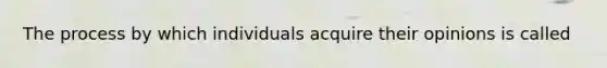 The process by which individuals acquire their opinions is called