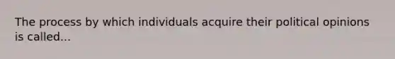 The process by which individuals acquire their political opinions is called...