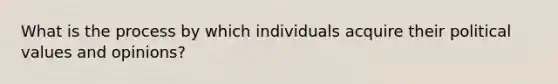 What is the process by which individuals acquire their political values and opinions?