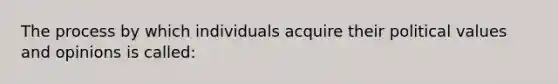 The process by which individuals acquire their political values and opinions is called: