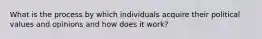 What is the process by which individuals acquire their political values and opinions and how does it work?