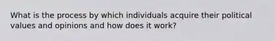 What is the process by which individuals acquire their political values and opinions and how does it work?