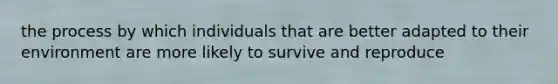 the process by which individuals that are better adapted to their environment are more likely to survive and reproduce