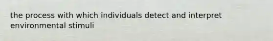 the process with which individuals detect and interpret environmental stimuli