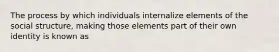 The process by which individuals internalize elements of the social structure, making those elements part of their own identity is known as