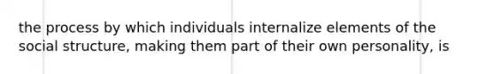 the process by which individuals internalize elements of the social structure, making them part of their own personality, is