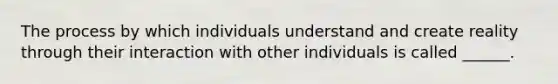 The process by which individuals understand and create reality through their interaction with other individuals is called ______.