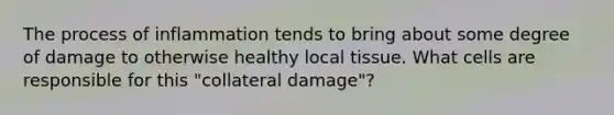 The process of inflammation tends to bring about some degree of damage to otherwise healthy local tissue. What cells are responsible for this "collateral damage"?