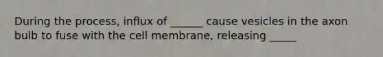 During the process, influx of ______ cause vesicles in the axon bulb to fuse with the cell membrane, releasing _____