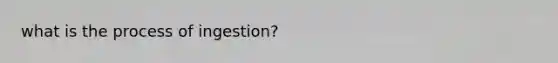 what is the process of ingestion?