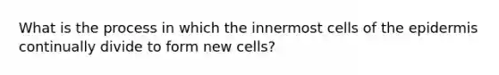 What is the process in which the innermost cells of the epidermis continually divide to form new cells?