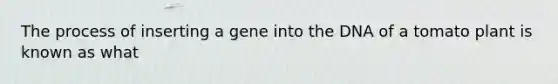 The process of inserting a gene into the DNA of a tomato plant is known as what