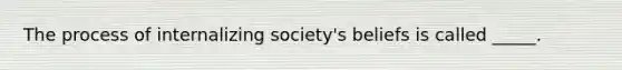 The process of internalizing society's beliefs is called _____.