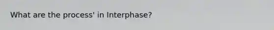 What are the process' in Interphase?