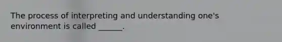 The process of interpreting and understanding one's environment is called ______.