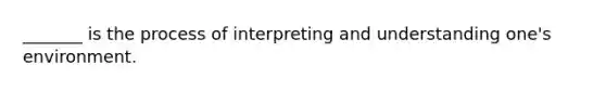 _______ is the process of interpreting and understanding one's environment.