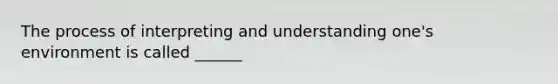 The process of interpreting and understanding one's environment is called ______