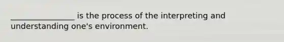 ________________ is the process of the interpreting and understanding one's environment.