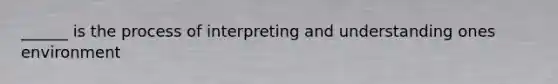 ______ is the process of interpreting and understanding ones environment