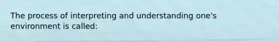 The process of interpreting and understanding one's environment is called: