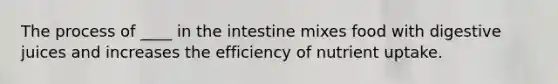 The process of ____ in the intestine mixes food with digestive juices and increases the efficiency of nutrient uptake.